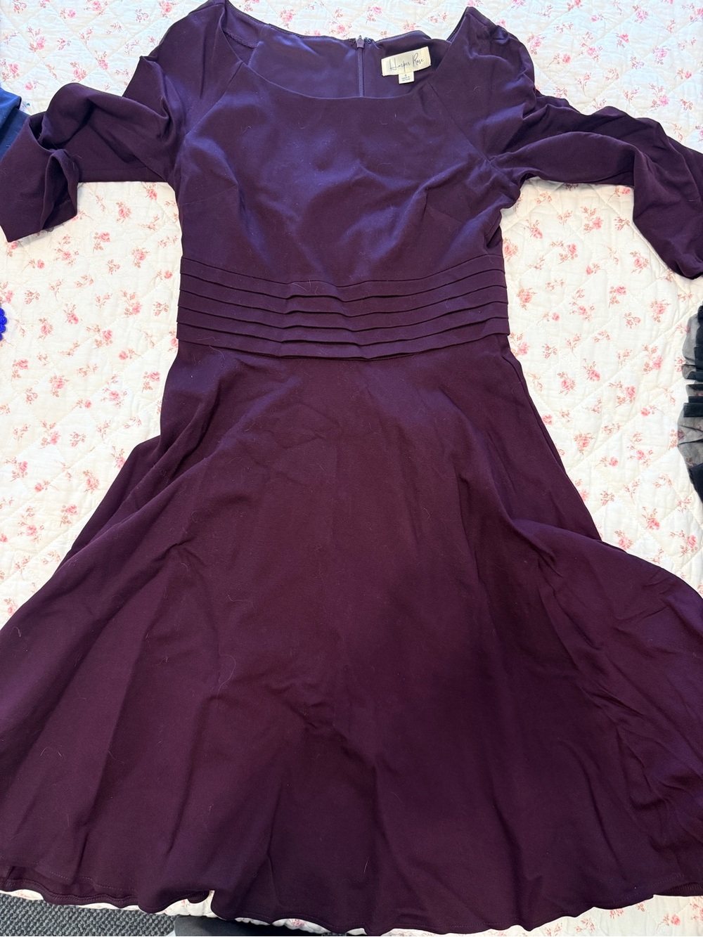 Long-Sleeve Plum Fit & Flare Dress with Pleated Waist